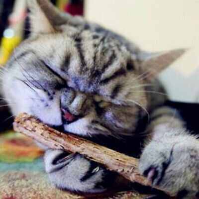 5 PIEZAS Limpieza dental de gato plata actinidia gato bocadillos palitos dientes c_AU3CXI