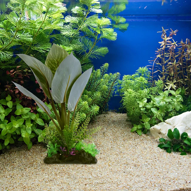 Mix 5 Piante Acquario Bloomique - Ludwigia, Hygrophila, Eleocharis, Lobelia, Cryptocoryne, Alte 5-20 Cm, Depurative