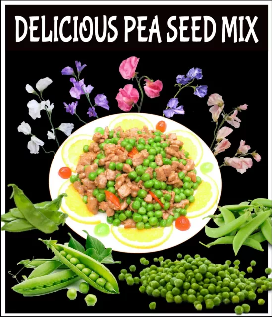 20 x PEA SEEDS-HEIRLOOM MIX-6 DIFFERENT VARIETIES-GROW YOUR VEGETABLE OWN GARDEN