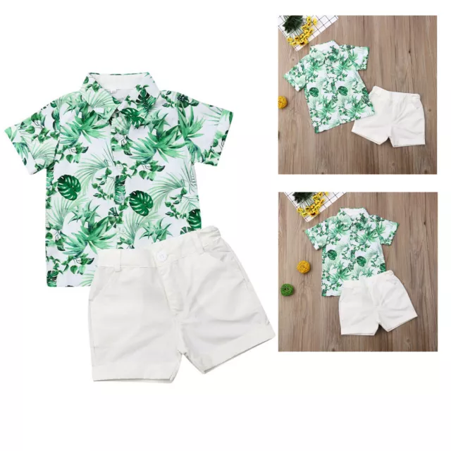 2Pcs Toddler Kids Baby Boy Girl Summer Shirt Tops Shorts Pants Outfits Clothes