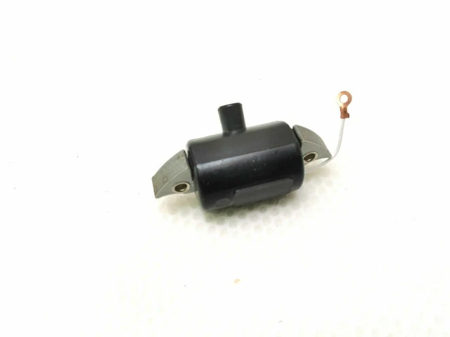 6V 17W Encendido Ancla Modelo Bosch Puch ,Kreidler, Zündapp, KTM