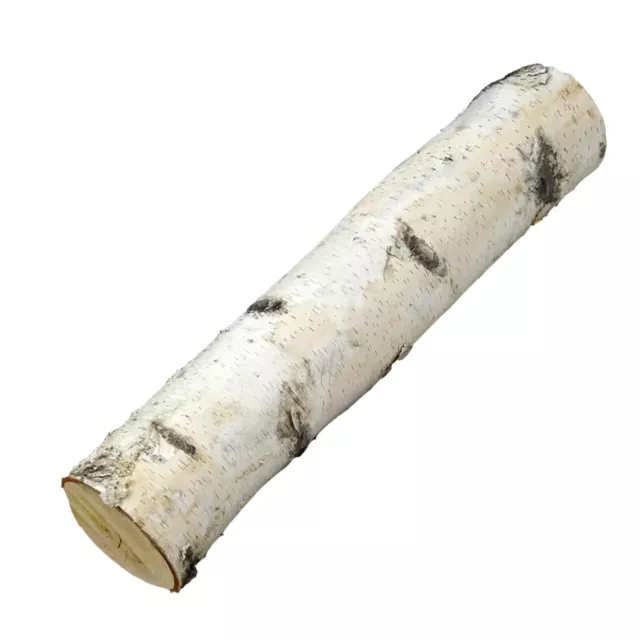 White Paper Birch Logs Set Of 6  2"-3" Diameter  16" Length