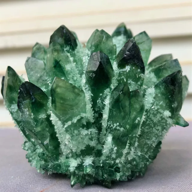 392G New Find Green Phantom Quartz Crystal Cluster Mineral Specimen Healing