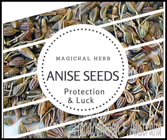 Aniseed Organic Anise Seeds 10g - Spells Wicca Hoodoo