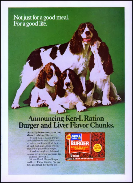 1974 Springer Spaniel mom 3 puppies Ken-L Ration Burger retro photo print ad S18