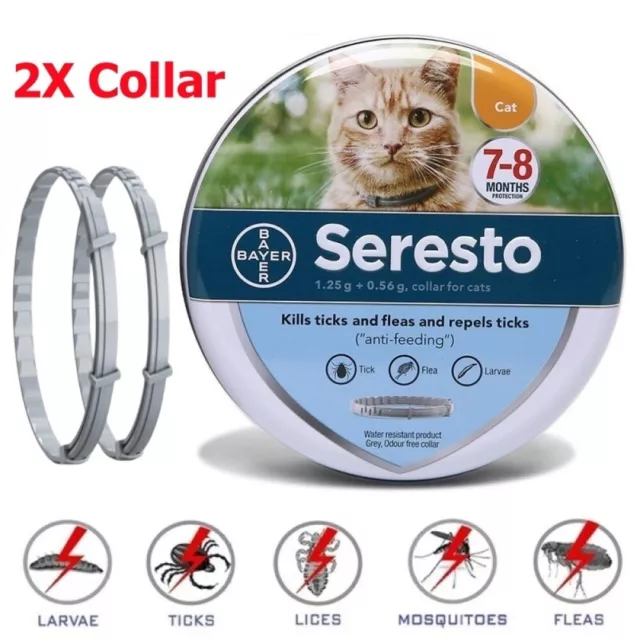 2X Collar Antiinsectos Pulgas y garrapatas 8 Meses Protección para Gatos 38cm