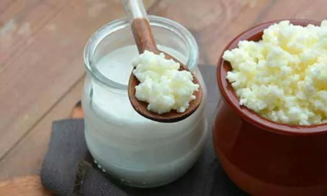 OFFERTA 10GR.KEFIR DI LATTE BIO. LO RICEVI IN 48 Ore. FERMENTI LATTICI VIVI