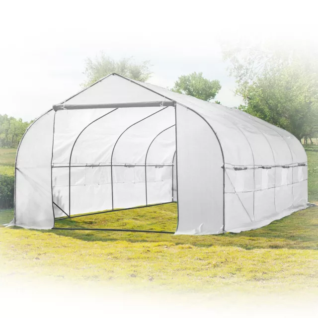 Garden Greenhouse Walk-In Green Hot Plant House Shed Storage PE Cover 20ft x 10'