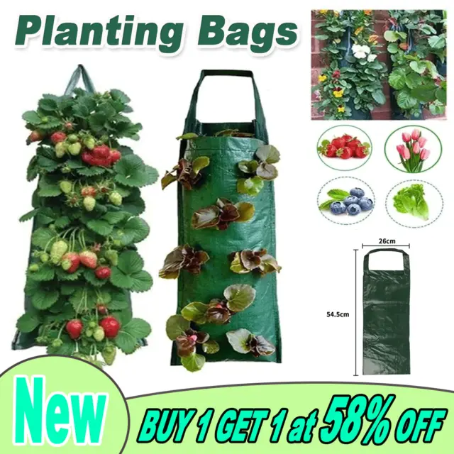 Tomato Strawberry Grow Bag Hanging Planter Flower Pouch Trailing Planting Bags