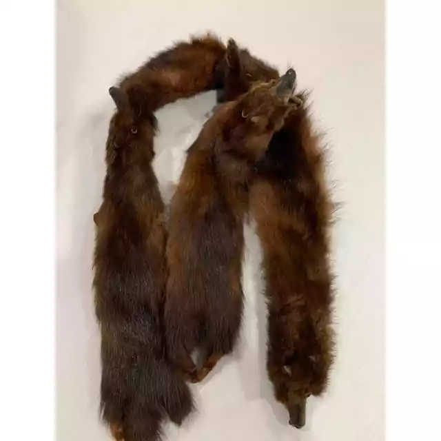 Vintage 1950s Brown Mink Fur Pelt Animal Shawl Shoulder Wrap Stole 3 minks