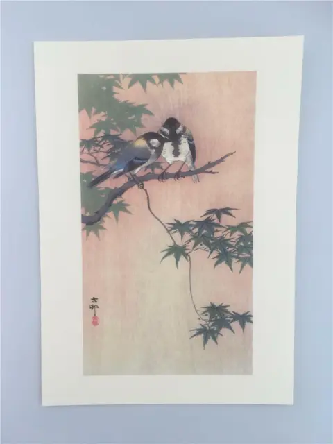 Japanese Reproduction A3 Woodblock Print G by Ohara Koson on Parchment Paper.
