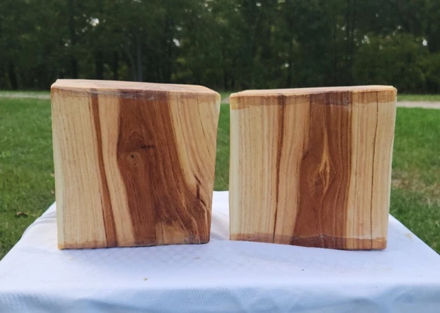 PAIR OF 2! GORGEOUS 7"x 7"x 4" RARE HONEY LOCUST BOWL BLANKS 7.5 LBS EA. 🔥