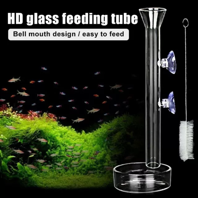 Shrimp Feeding Tube Bowl Fish Tank Food Feeder Aquarium Clear Acrylic Dish Tray