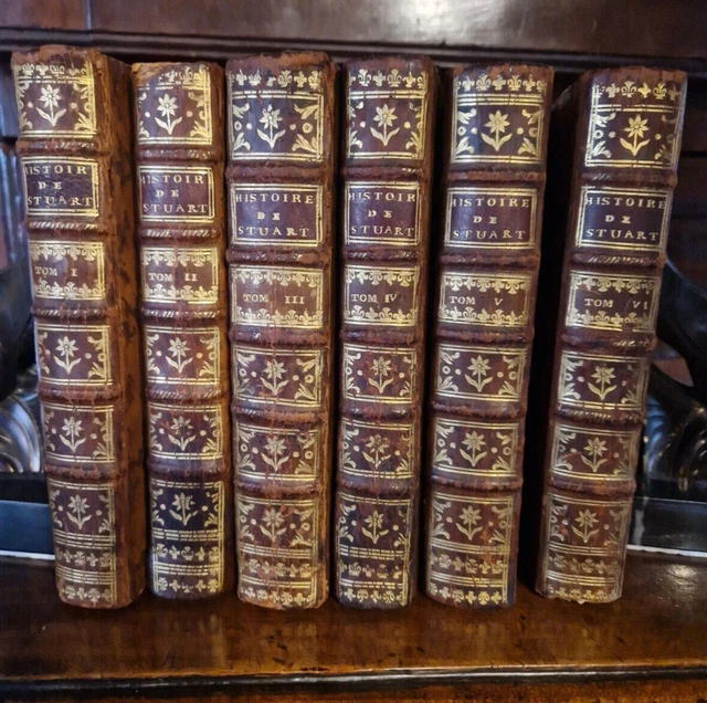 Livre Ancien RARE : Histoire De L'Angleterre Par James Anthony Froude - Volume 9 (1870) - Reliure Cuir