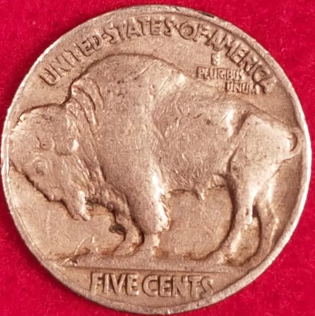 1929 Buffalo Nickel  ID #19-225 2