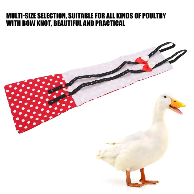 Chicken Diapers Adjustable Waterproof Washable And Reusable Diapers For Ejj