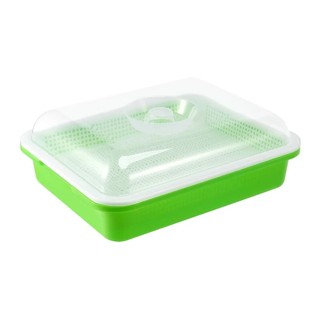 Plateau de germination de graines Agropyre de blé Herbe Microgreens Kit