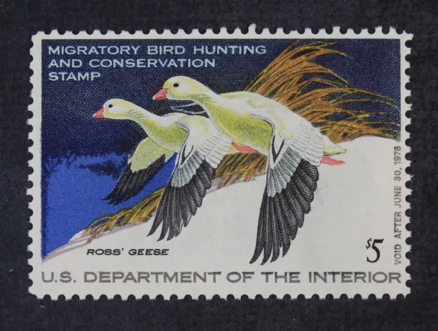 CKStamps : US Stamps Scott #RW44 $5 Duck Mint NH OG 1977 Ross Geese $10