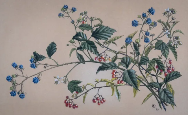 Original Gouche Watercolor Painting Wildflower Season Transition Study