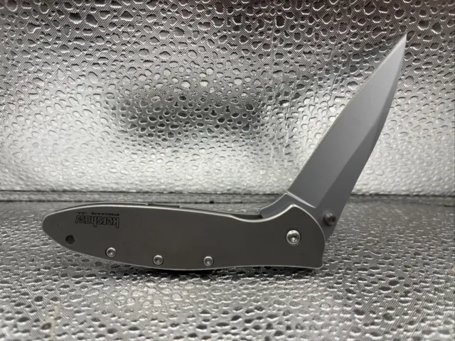 KERSHAW Leek 1660 Silver SpeedSafe Plain Edge Stainless Folding Pocket Knife