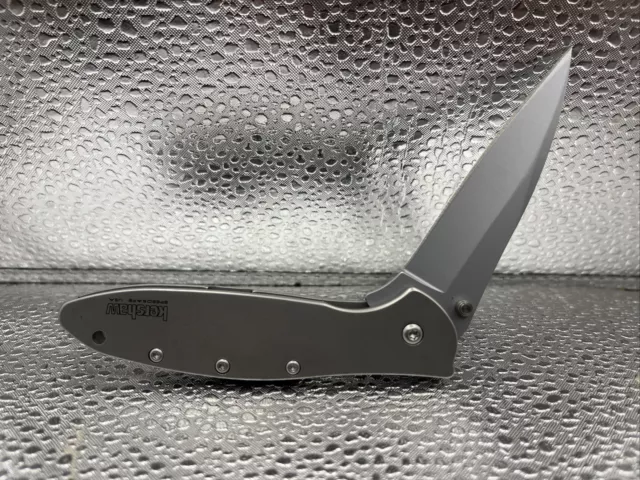 KERSHAW Leek 1660 Silver SpeedSafe Plain Edge Stainless Folding Pocket Knife