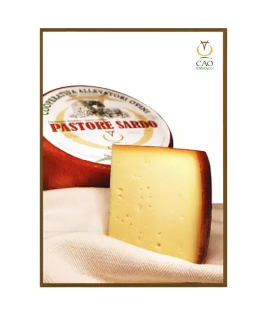 Pecorino Cao Pastore Sardo ca.500 gr.