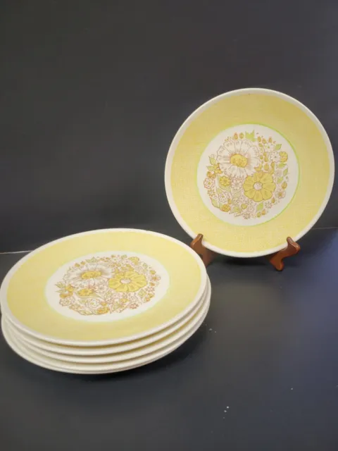 Vintage Ironstone Taylor Smith Dinner Plates