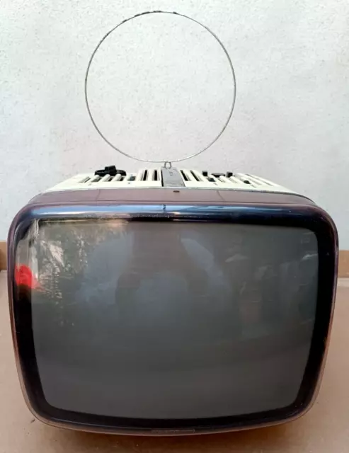 TV Vintage - Doney 12" Brionvega - Made In Italy