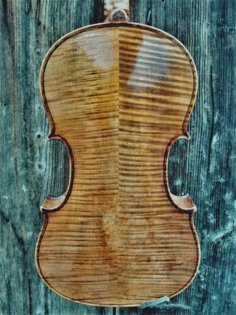 Old viola - Viola "C. G. SCHUSTER 1920"