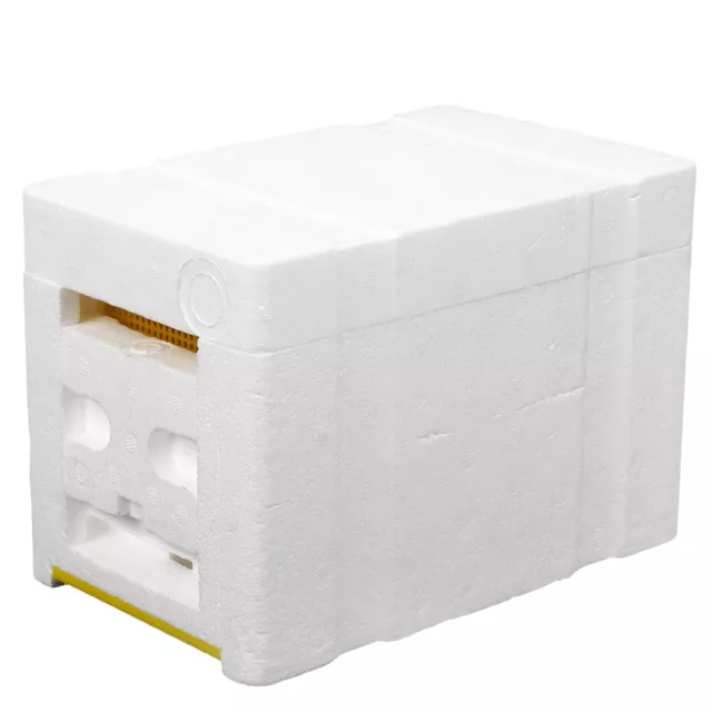 Beekeepers Plastic Beehive Italian Breeding Box Foam Material