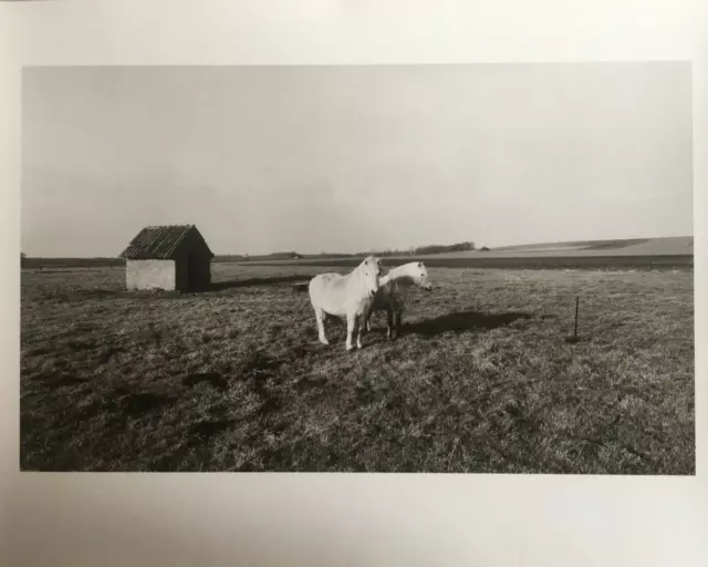 AGRARLANDSCHAFTEN VINTAGE Photographie HEINRICH RIEBESEHL signiert Düsselburg