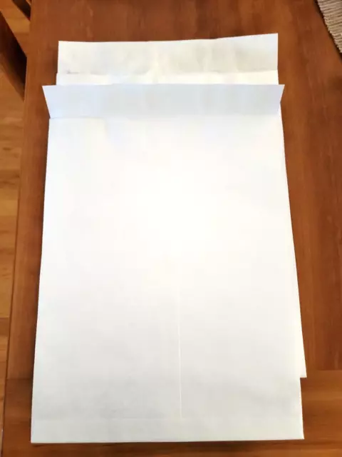 Tyvek Open-End Envelope Plain 10"x 13" 100 CT White