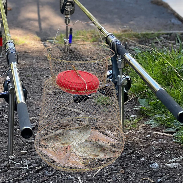 Épuisette à Poisson - Filet de pêche Flottant Pliable | Épuisette de