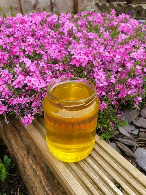 Acacia Honey, 2022 NEW Harvest, Raw Honey fresh from the Hive.