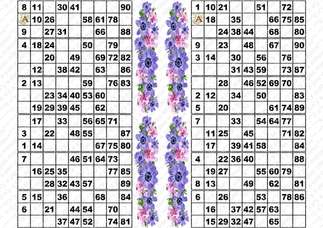 PLAQUE DE 12 cartons de loto plastifié pliable neuf (A3)il n'y a pas