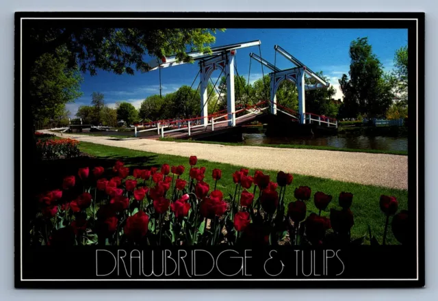 Postcard Vtg Holland Michigan Dutch Drawbridge And Tulip Plantings 4x6