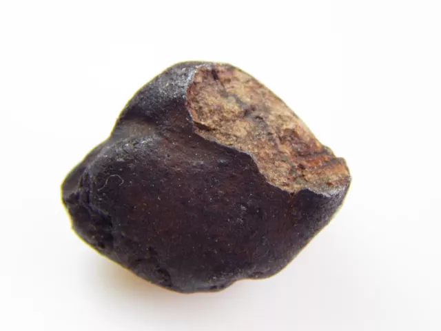 Météorite de Chelyabinsk ( Tcheliabinsk ) 7.04 g , Garantie 100% !