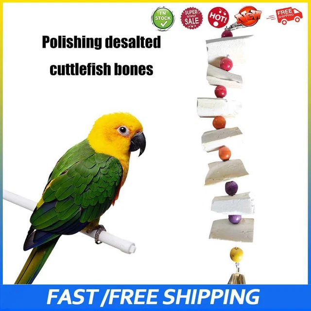 Juguetes de hueso de sepia para mascotas loro masticar periquito cacatúas molares juguetes