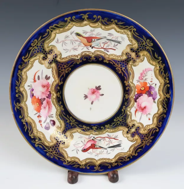 Early 19thC. Coalport Birds & Flowers Cobalt Gold 9.25" Porcelain Plate Antique