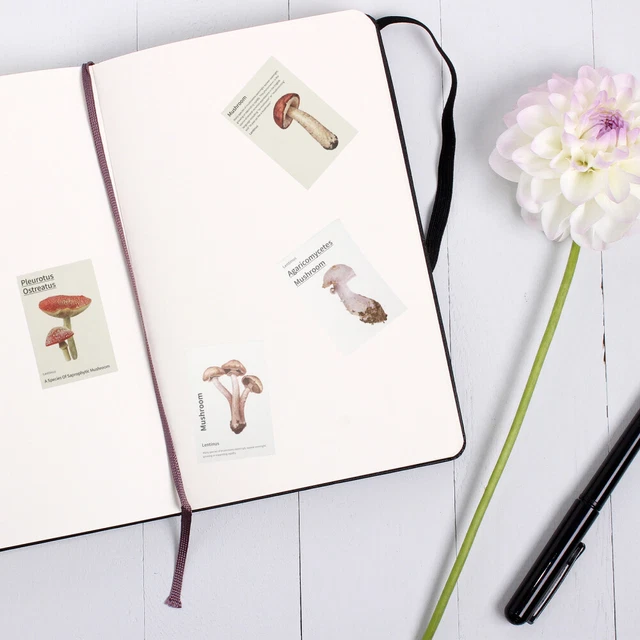 4 Sets DIY Kraft Paperswerk Papier Blätter DIY Hintergrund Papiere 11