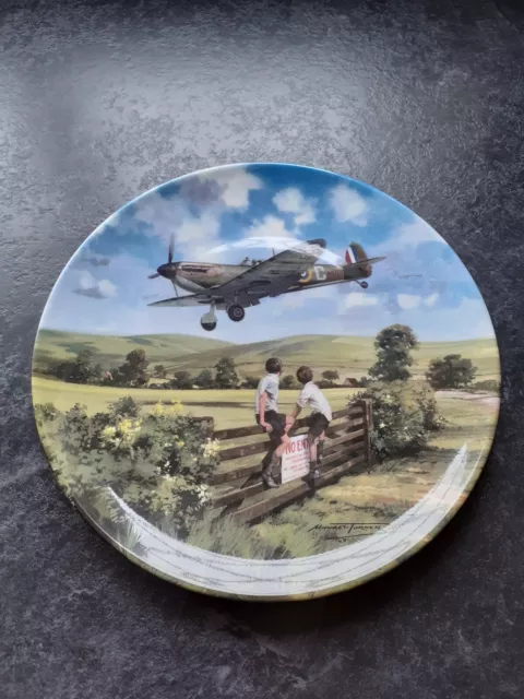 Spitfire coming home plate, Royal Doulton.