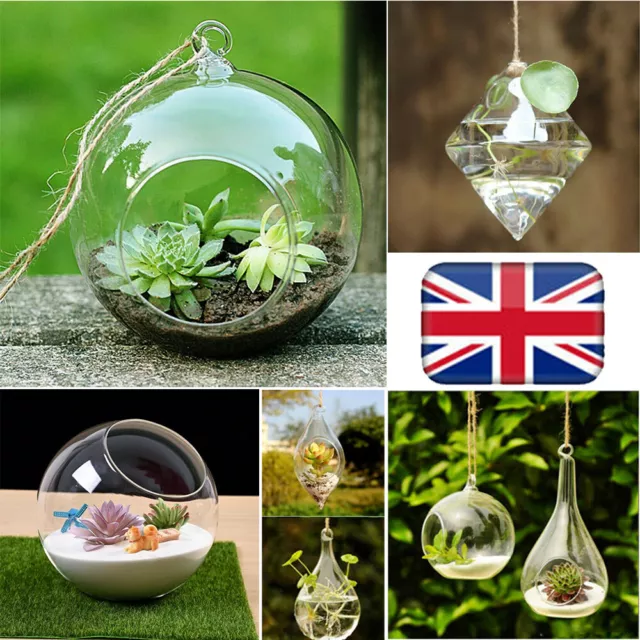 UK_Hanging Glass Ball Vase Flower Plant Pot Terrarium Container Party DIY Decors