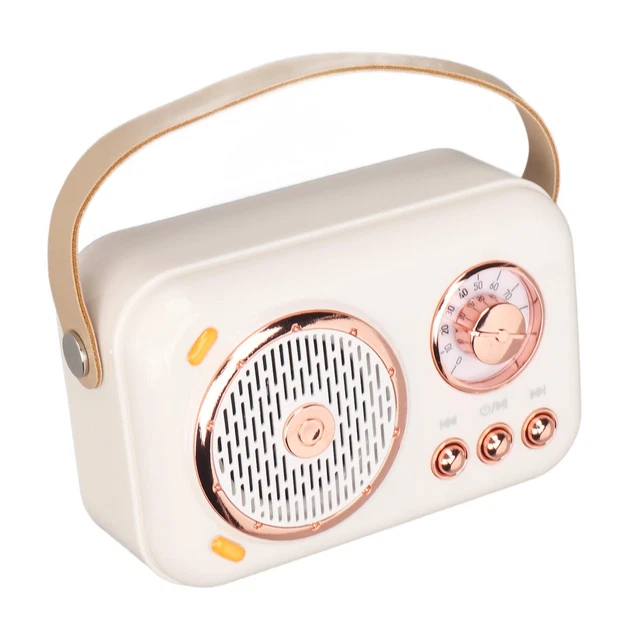 Karaoke Machine Multifunction Enhanced Bass 6 Modes Portable PA UK GTO