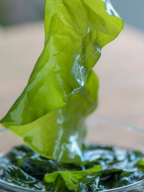 Salted Kelp Seaweed soup 盐渍海带500g half-dry kelp Sea lettuce fresh pickle 韩式海带汤