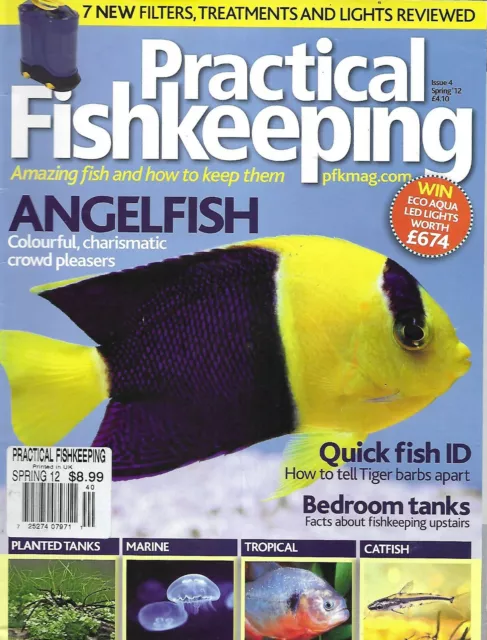 Practical Fishkeeping Magazine Angel Fish Piranha Bedroom Tanks Bagrid Catfish