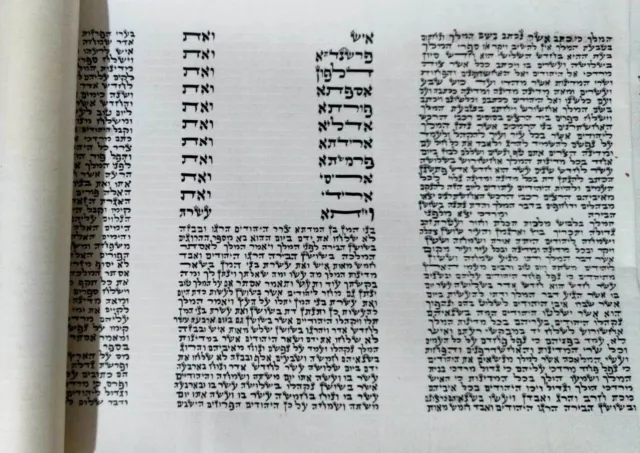 Authentic Megillah Esther Scroll Parchment Purim Judaica Ari Zal Hebrew
