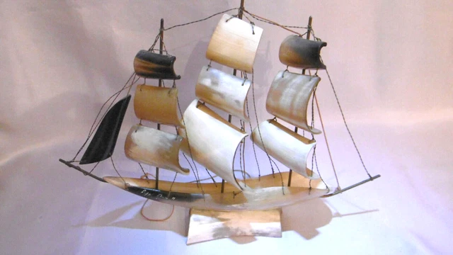 Vela IN Corno Da Mucca San Remo