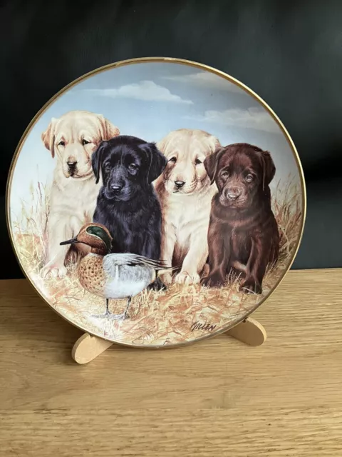 Danbury Mint Ceramic Plate  4 Labrador Pups And A Duck 8”