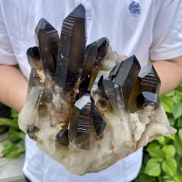 3.96LB Natural Smoky Black Quartz Cluster Crystal Specimen Healing