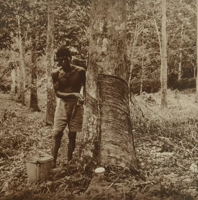 Square Top Keystone Stereoview a Hindu Gathering Latex, Fiji Islands K600 #1037